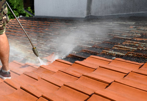Best Pressure Washing Siding  in North Bend, OH