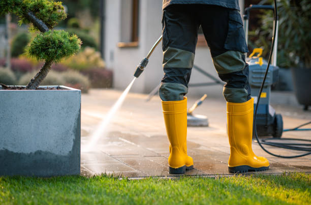 Best Roof Pressure Washing  in North Bend, OH